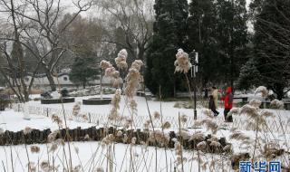 北京部分地区将迎降雪 北京人工降雪原因